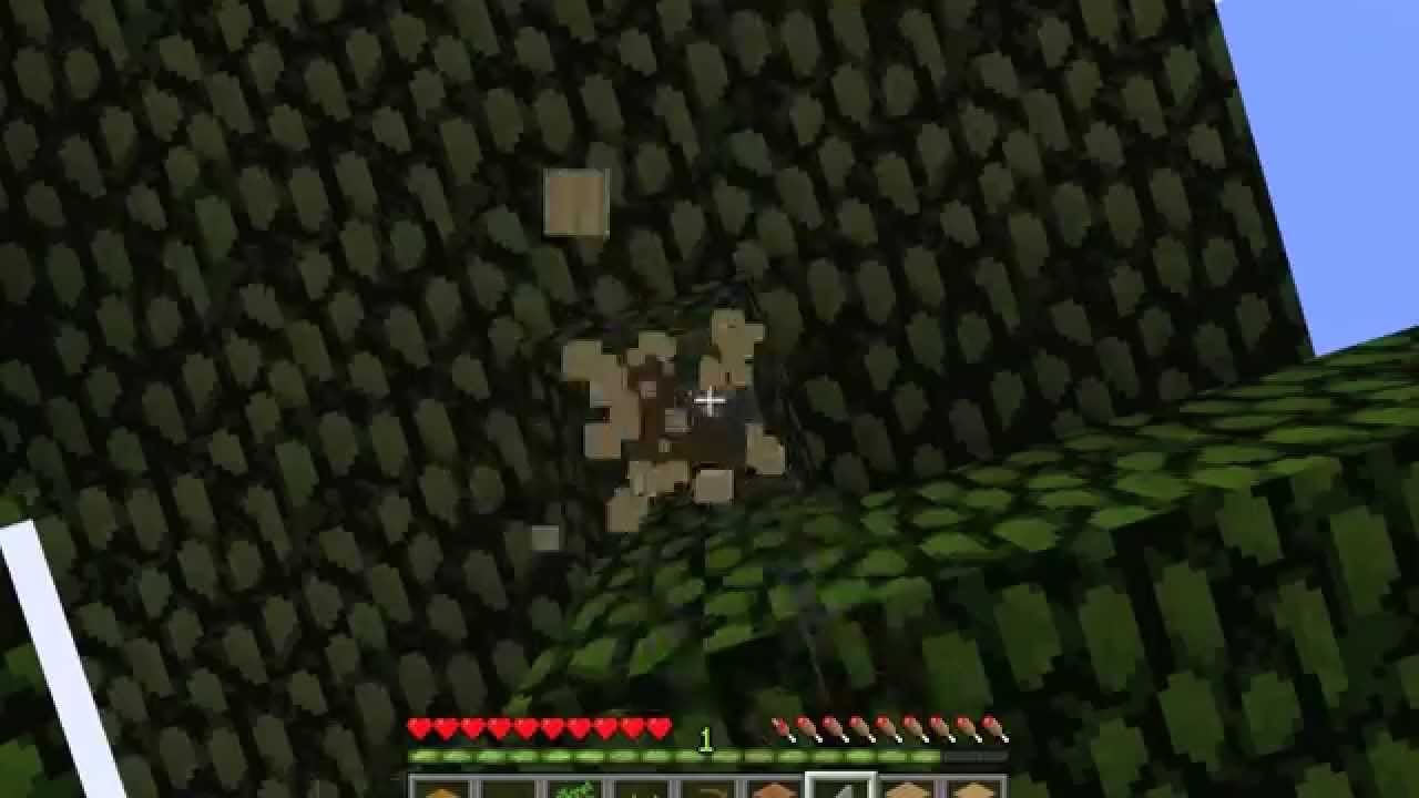 Official Minecraft Survival D1 Youtube