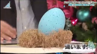 生まれる前に死にかけるポカ