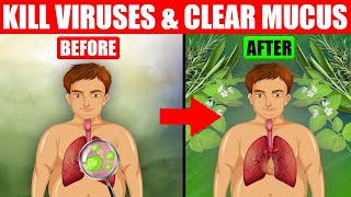 TOP 10 Herbs That Kill Viruses and Clear Mucus from Your Lungs