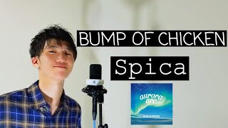 BUMP OF CHICKEN Spica cover