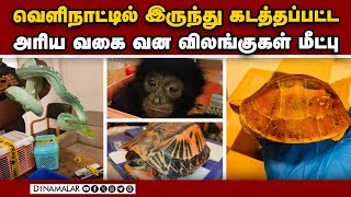 விலங்குகளை விற்பனை செய்யும் சென்னை வாசியிடம் விசாரணை | Smuggled animals