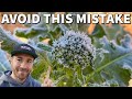 This Simple Tip Can Save Your Fall Garden From Cold