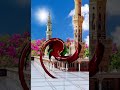 میرا یہ ایمان یے میرا یقین ہے islamik status