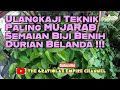 Ulangkaji Teknik Paling Mujarab Semaian Biji Benih Durian Belanda ❗❗❗ #5️⃣9️⃣