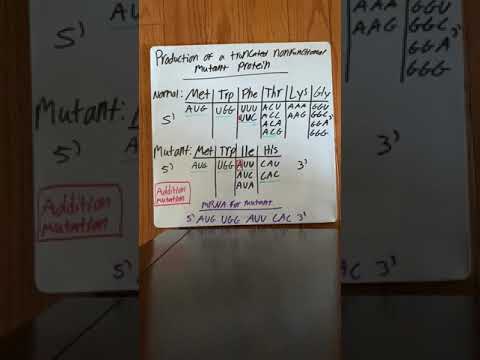 What is truncated mutation?
