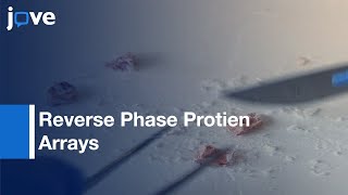 Reverse Phase Protein Arrays: Protein Expression | Protocol Preview