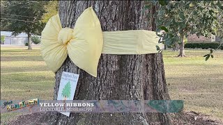 Yellow ribbons mark the Gingham Tree Festival's return to Lucedale