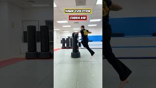 Hawk Evolution | Cobra Kai #shorts #martialarts #cobrakai