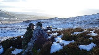 Red hind stalking   Scotland 2018