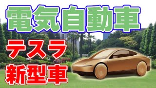 【監視不要】テスラの完全自動運転車『サイバーキャブ』について【30000$】