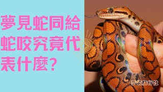 夢境旅行社 -  EP7 | 究竟夢見蛇同給蛇咬又代表什麼?