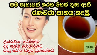 සම පැහැපත් කරන සිරුරට ගුණ දෙන විස්මිත රණවරා පානය නිවැරදිව හදමු.|| Ranawara Drink