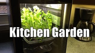 Arduino Automated Kitchen Garden Overview