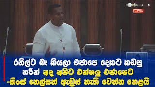 හරීන්ට ඇඩ්‍රස් නැති වෙන නෙළිල්ලක් ⁣නවක මන්ත්‍රී කිංස් නෙල්සන්ගෙන්