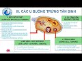 2.2 Hình ảnh đặc trưng trên siêu âm một số loại u buồng trứng thường gặp - BS.CKI. Nguyễn Xuân Lan