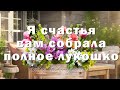 СЧАСТЛИВОЙ ВЕСНЫ 2025 🌸 Красивое поздравление с первым днем весны