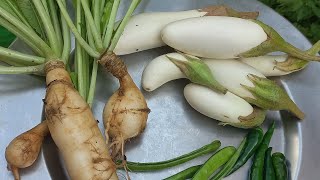 இன்றைய அறுவடை.Today's Harvest.