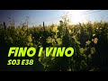 Fino i vino 07.06.2024. s03e38