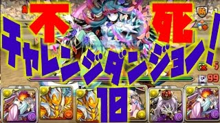 勝率100%？チャレンジダンジョン！44 LV10 転生アマテラスオオカミPT【パズドラ】