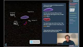 Lab 4 13 Nitrogen Cycles Case Pt 1 of 2