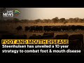 Steenhuisen has unveiled a 10 year strategy to combat foot and mouth disease
