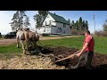 Plowing the Garden With Draft Horses and a Walking PlowWeighing Stub