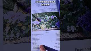 Foraging in March - UK Monthly Calendar \u0026 Field Guide  #foraging #march  #foragingcalendar