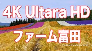 ［4K Ultra HD］ファーム富田/FARM TOMITA 4K/Furano Lavender