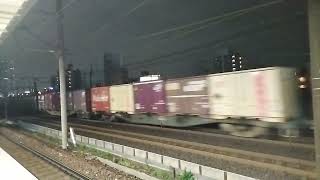 サメ牽引×１個しかないパロマコンテナを載せた貨物列車が栄生駅を通過！