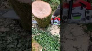 Greencut GS680X -Chainsaw - Démo Clip