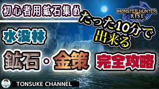 初心者でも出来るお金の稼ぎ方！超簡単！金策・素材稼ぎ！【モンハンライズ】【MHRise】【モンスターハンターライズ】