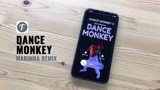 #1 DANCE MONKEY Ringtone (Marimba Remix) | Tones & I Dance Monkey Tribute | iOS & Android Download