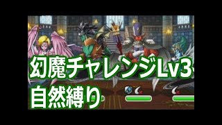 【DQMSL】 幻魔チャレンジ レベル5 ???系なし デイリーミッション 冒険スタンプミッション