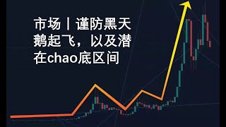 市场丨谨防黑天鹅起飞，以及潜在chao低区间