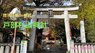 戸部杉山神社 2021.11.22