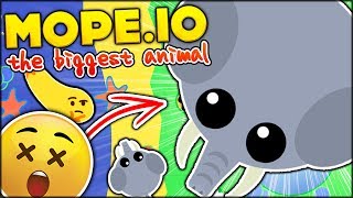 BRAND NEW IO GAME ⭐ BECOMING THE BIGGEST ANIMAL EVER!! | MOPE.IO FUNNY MOMENTS