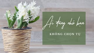 [KHÔNG CHỌN TỤ] - AI ĐANG NHỚ ĐẾN BẠN