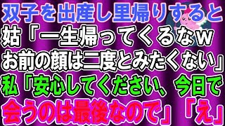 【スカッとする話】双子を出産し、私が里帰り出産を伝えると「そのまま帰ってくるなｗお前の顔なんて見たくないｗ」私「もう見る事はないので安心して下さい」義母「は？？」→私の正