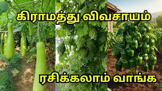 எங்க கிராமத்து வாழ்க்கையில் ஒரு நாள் | Farmer lifestyle|Village lifestyle |The daily life of Farmers