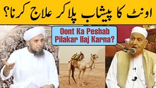Oont Ka Peshab Pilakar Ilaj Karna? Mufti Tariq Masood | Maulana Makki Al Hijazi | Islamic Group