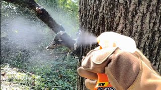 How to make Mock Scrape Branch with a Flag Pole Holder! BUCK PARADE @MoultrieMobile