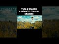 #Shorts TEAL & ORANGE CINEMATIC COLOUR GRADING | Kinemaster | AG TV