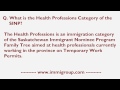 What is the Health Professions Category of the SINP?