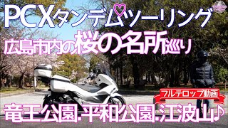 【広島桜の名所３選】満開の桜を求めて！【PCX125タンデムツーリング】