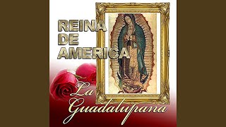 Ofrenda Guadalupana