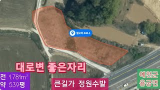 급매 큰길가 정원수밭 (6) 7,300만원 전 1,781m² (약 539평) 경북 예천군 용궁면 월오리 448-1 단풍나무 전원수가 가득한 밭 010-4949-0049 안동역부동산