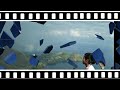 SEE YOU AGAIN |slide show | D'lau Girls