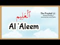 Allah's Names - Al 'Aleem (19)