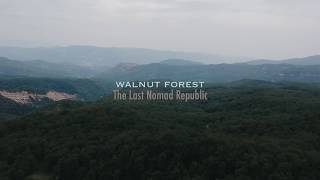 Arslanbob Walnut Forest