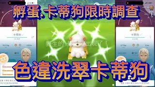 孵蛋及卡蒂狗限時調查任務均有入手色違洗翠卡蒂狗Pokémon Go 2023/09/28